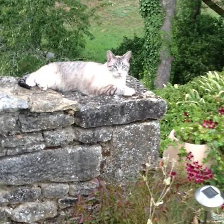 D'hotes Lasserre Bed & Breakfast Saint-Amand-de-Coly