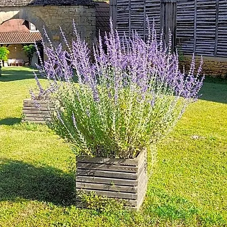 Bed & Breakfast D'hotes Lasserre