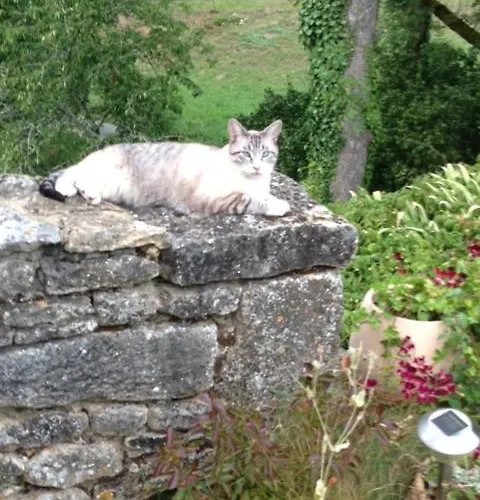 D'hotes Lasserre Bed & Breakfast Saint-Amand-de-Coly